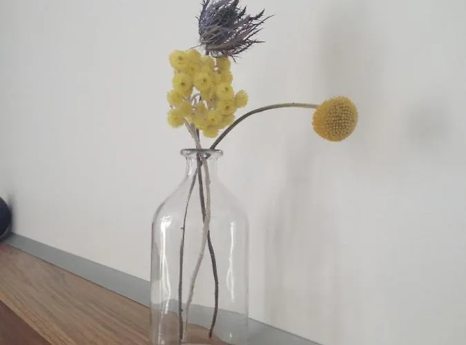 La Traversiere-chambre D'hotes 2*